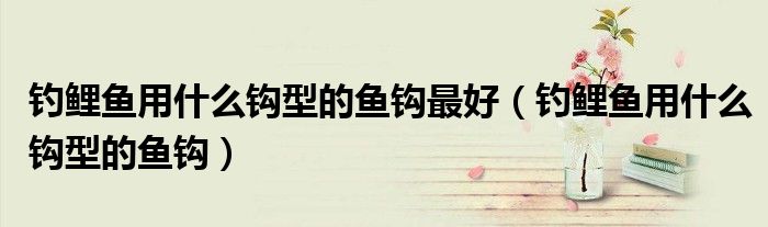 钓鲤鱼用什么钩型的鱼钩最好（钓鲤鱼用什么钩型的鱼钩）