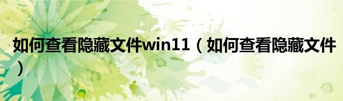 如何查看隐藏文件win11（如何查看隐藏文件）