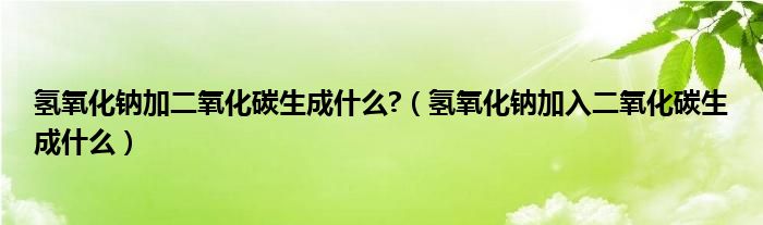 氢氧化钠加二氧化碳生成什么?（氢氧化钠加入二氧化碳生成什么）
