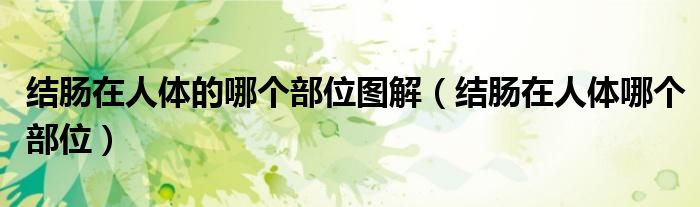 结肠在人体的哪个部位图解（结肠在人体哪个部位）