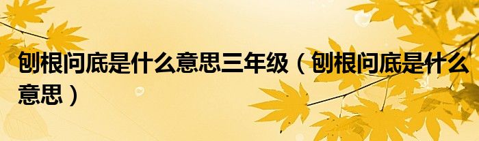 刨根问底是什么意思三年级（刨根问底是什么意思）
