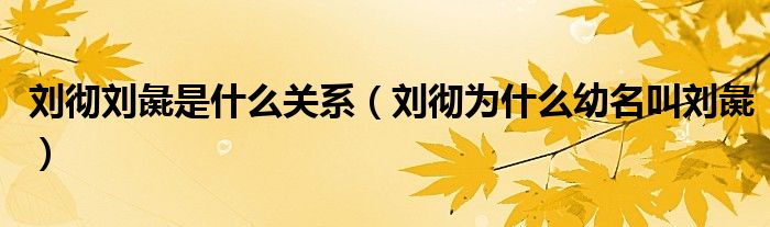 刘彻刘彘是什么关系（刘彻为什么幼名叫刘彘）