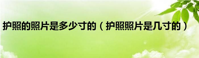 护照的照片是多少寸的（护照照片是几寸的）
