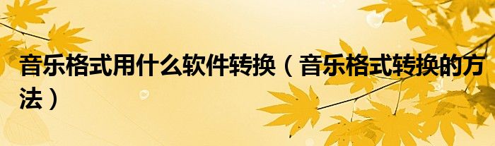 音乐格式用什么软件转换（音乐格式转换的方法）