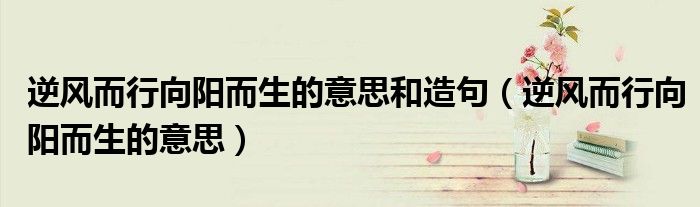 逆风而行向阳而生的意思和造句（逆风而行向阳而生的意思）