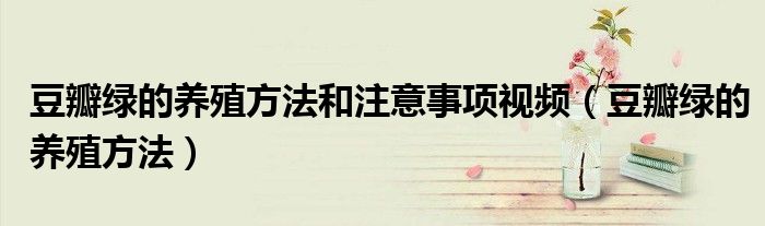 豆瓣绿的养殖方法和注意事项视频（豆瓣绿的养殖方法）