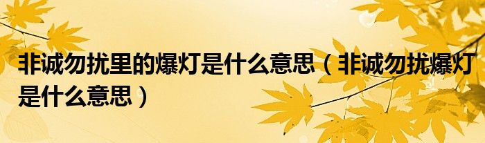 非诚勿扰里的爆灯是什么意思（非诚勿扰爆灯是什么意思）