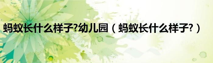 蚂蚁长什么样子?幼儿园（蚂蚁长什么样子?）