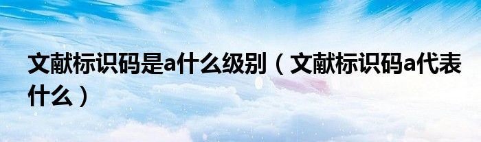 文献标识码是a什么级别（文献标识码a代表什么）