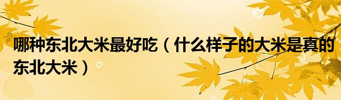 哪种东北大米最好吃（什么样子的大米是真的东北大米）