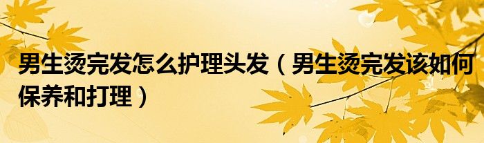 男生烫完发怎么护理头发（男生烫完发该如何保养和打理）