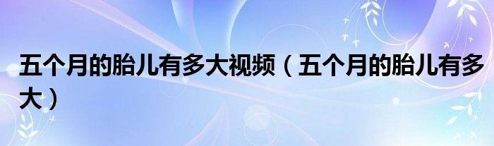 五个月的胎儿有多大视频（五个月的胎儿有多大）