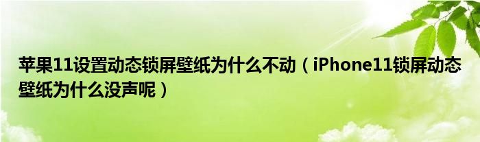 苹果11设置动态锁屏壁纸为什么不动（iPhone11锁屏动态壁纸为什么没声呢）