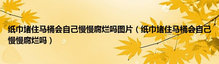 纸巾堵住马桶会自己慢慢腐烂吗图片（纸巾堵住马桶会自己慢慢腐烂吗）
