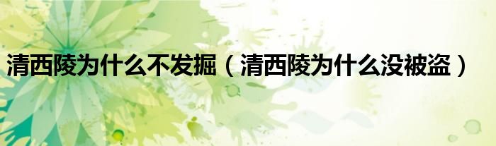 清西陵为什么不发掘（清西陵为什么没被盗）