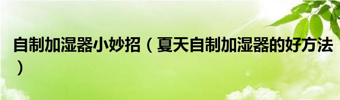 自制加湿器小妙招（夏天自制加湿器的好方法）