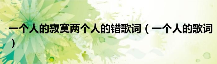 一个人的寂寞两个人的错歌词（一个人的歌词）