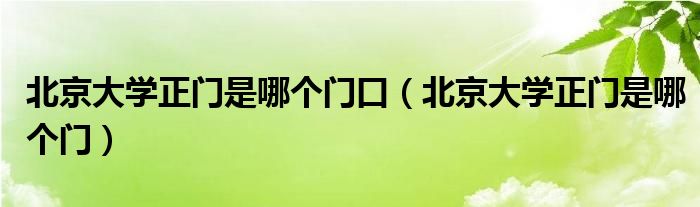 北京大学正门是哪个门口（北京大学正门是哪个门）
