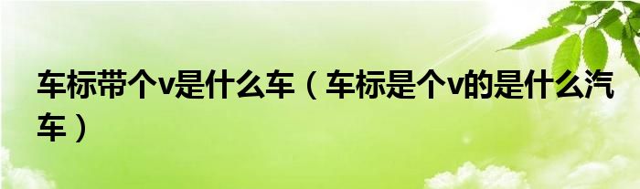 车标带个v是什么车（车标是个v的是什么汽车）