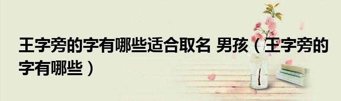 王字旁的字有哪些适合取名 男孩（王字旁的字有哪些）