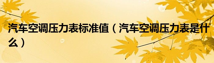 汽车空调压力表标准值（汽车空调压力表是什么）