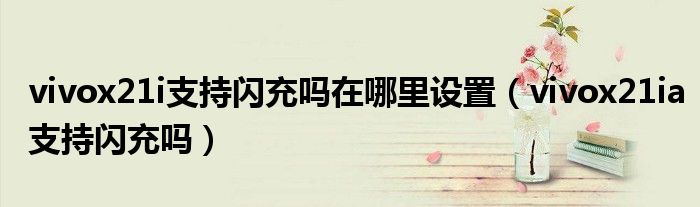 vivox21i支持闪充吗在哪里设置（vivox21ia支持闪充吗）