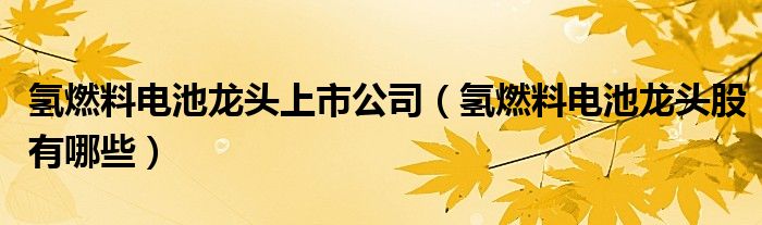 氢燃料电池龙头上市公司（氢燃料电池龙头股有哪些）