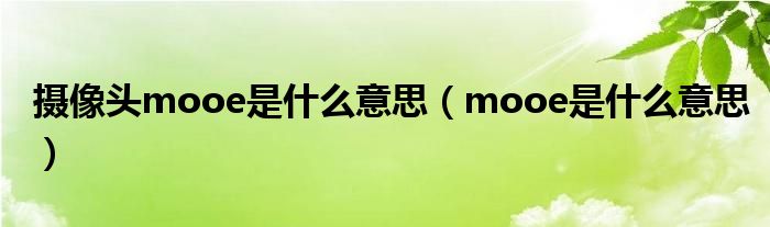 摄像头mooe是什么意思（mooe是什么意思）