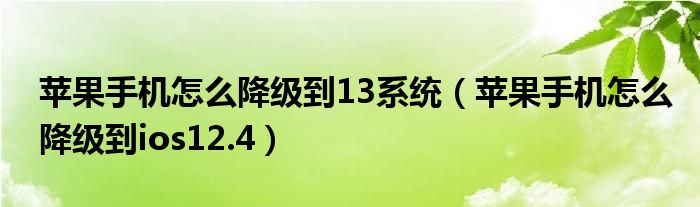 苹果手机怎么降级到13系统（苹果手机怎么降级到ios12.4）