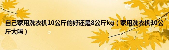 自己家用洗衣机10公斤的好还是8公斤kg（家用洗衣机10公斤大吗）