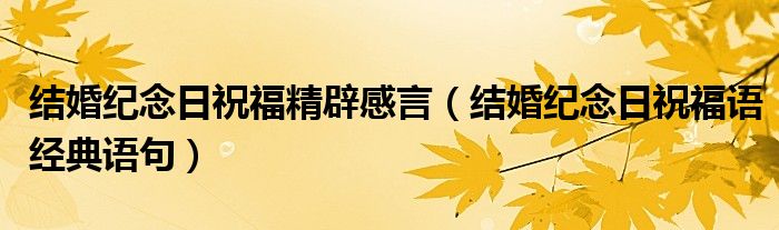 结婚纪念日祝福精辟感言（结婚纪念日祝福语经典语句）