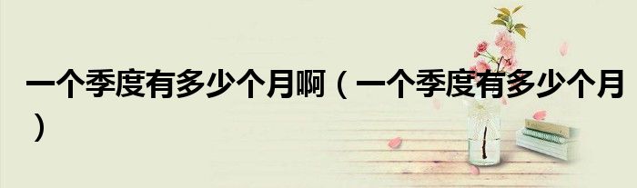 一个季度有多少个月啊（一个季度有多少个月）
