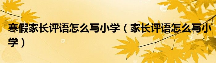 寒假家长评语怎么写小学（家长评语怎么写小学）