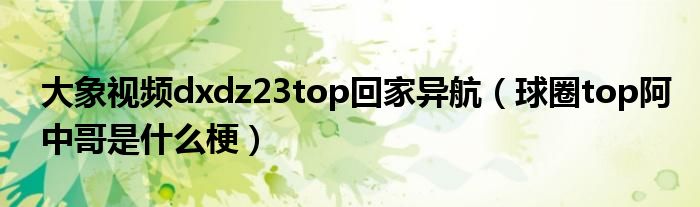 大象视频dxdz23top回家异航（球圈top阿中哥是什么梗）