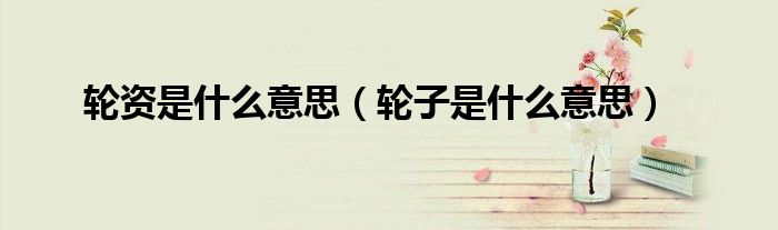 轮资是什么意思（轮子是什么意思）