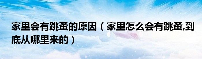 家里会有跳蚤的原因（家里怎么会有跳蚤,到底从哪里来的）