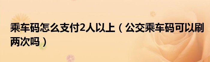 乘车码怎么支付2人以上（公交乘车码可以刷两次吗）