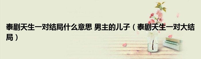 泰剧天生一对结局什么意思 男主的儿子（泰剧天生一对大结局）