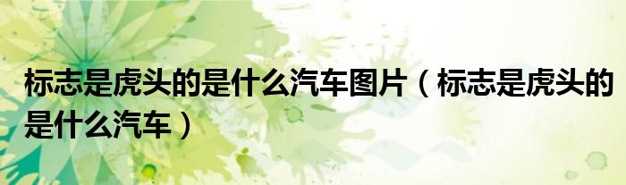 标志是虎头的是什么汽车图片（标志是虎头的是什么汽车）