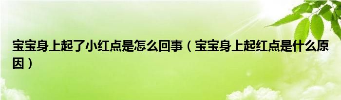 宝宝身上起了小红点是怎么回事（宝宝身上起红点是什么原因）