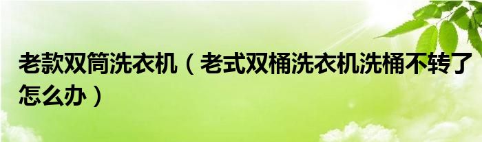 老款双筒洗衣机（老式双桶洗衣机洗桶不转了怎么办）