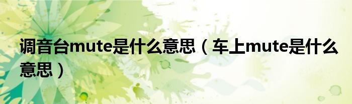 调音台mute是什么意思（车上mute是什么意思）