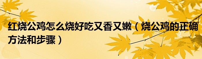 红烧公鸡怎么烧好吃又香又嫩（烧公鸡的正确方法和步骤）