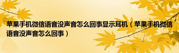 苹果手机微信语音没声音怎么回事显示耳机（苹果手机微信语音没声音怎么回事）