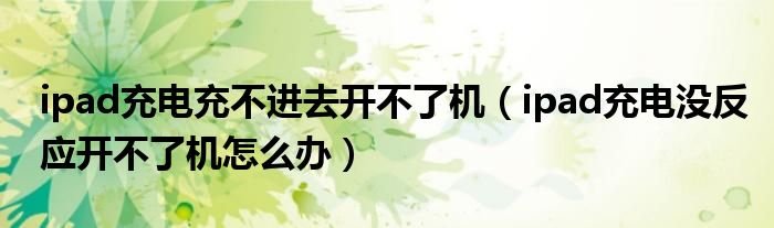 ipad充电充不进去开不了机（ipad充电没反应开不了机怎么办）