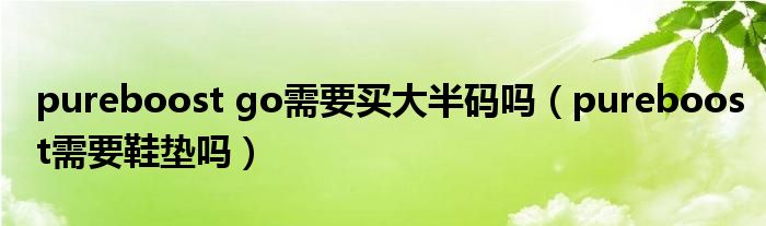 pureboost go需要买大半码吗（pureboost需要鞋垫吗）