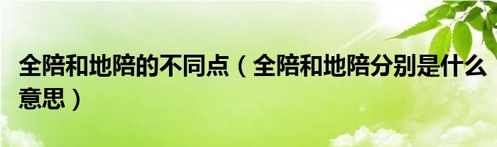 全陪和地陪的不同点（全陪和地陪分别是什么意思）