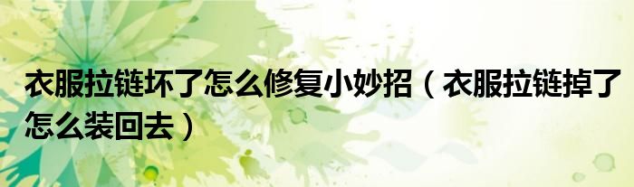 衣服拉链坏了怎么修复小妙招（衣服拉链掉了怎么装回去）