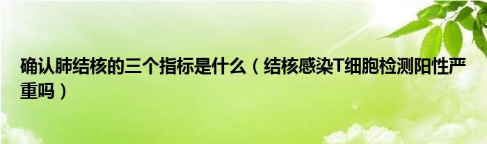 确认肺结核的三个指标是什么（结核感染T细胞检测阳性严重吗）