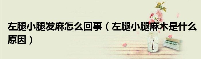 左腿小腿发麻怎么回事（左腿小腿麻木是什么原因）